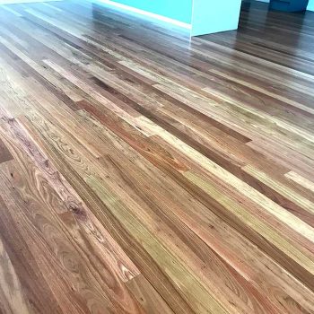 floor sanding sunshine coast